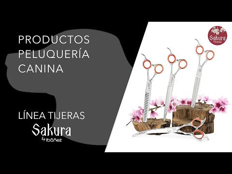 Vidéo de présentation Ciseaux chunker Ibáñez Kiku 26 dents 20,5 cm
