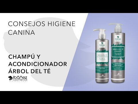 Vidéo de présentation Après-shampooing Ibáñez Tea Tree Oil apaisant pour chien
