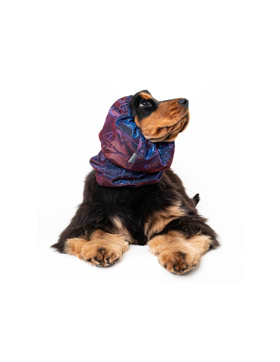 Snood Luxe pour Chiens – photo 2