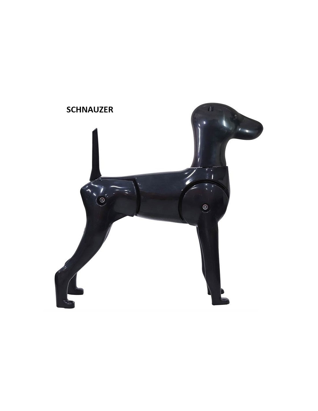 Kit Mannequin Model Dog (Caniche, Schnauzer, Asian Style) – photo 3