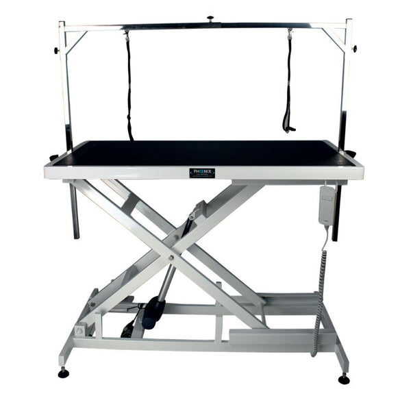 Table de toilettage Callisto double commande : table Callisto avec potence double