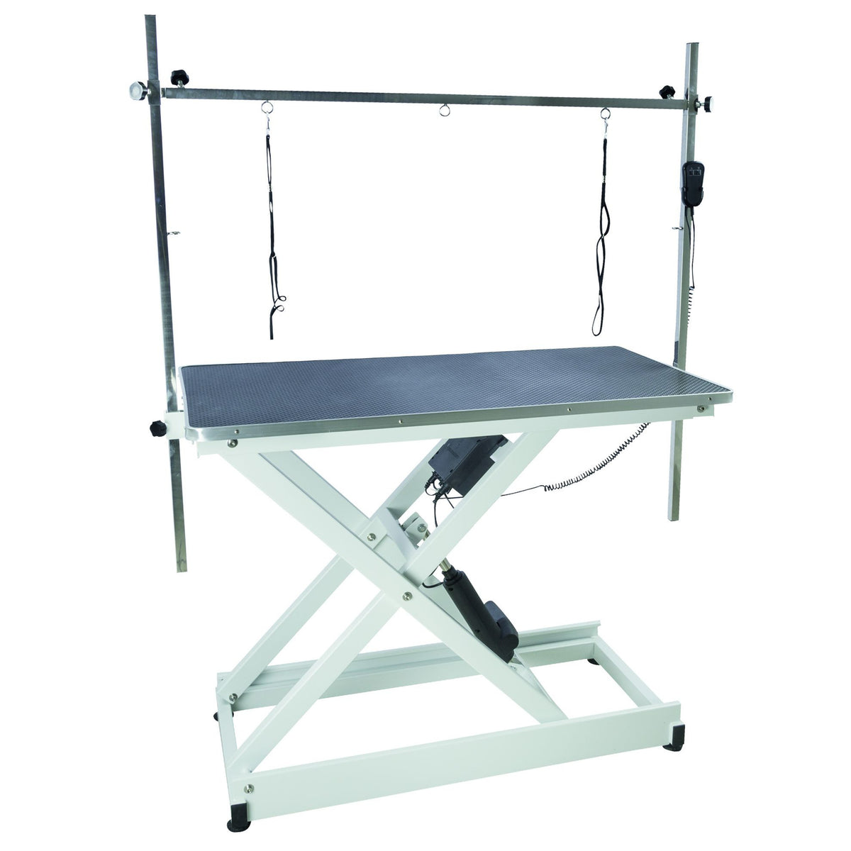 Table de toilettage électrique Jupiter : table avec potence double
