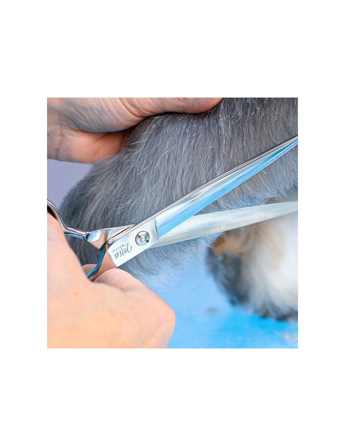Ciseaux Droits Microdenture MIA – photo 2