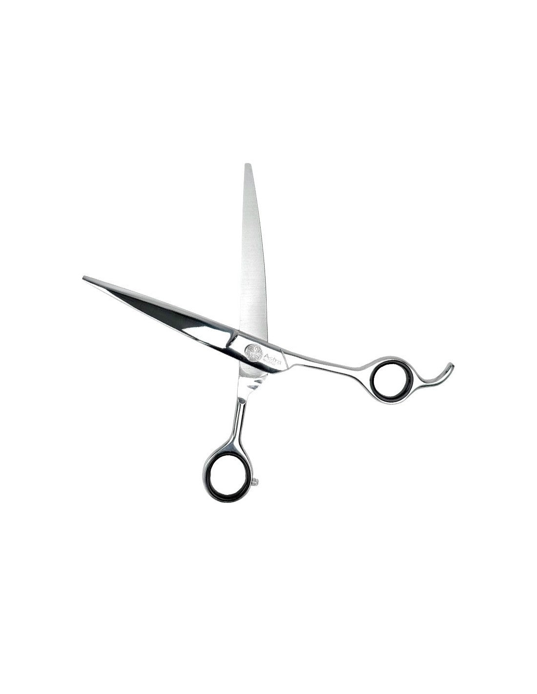 Ciseaux courbes Ibáñez Astra 20 cm – gamme Evidence – photo 3
