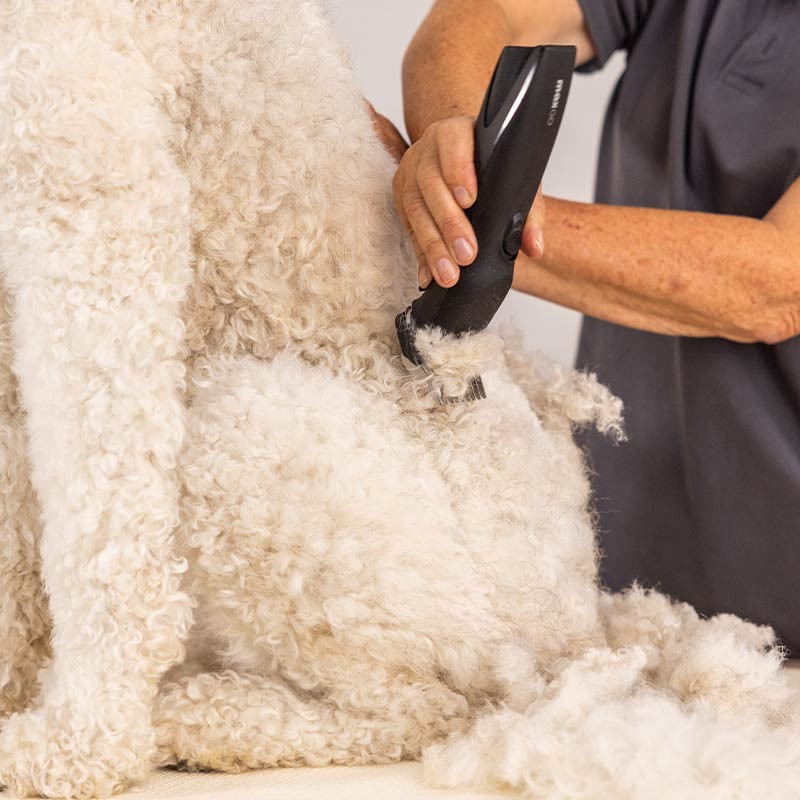 Tondeuse Wahl MaxGo sans fil à moteur brushless pour chien et chat photo 2