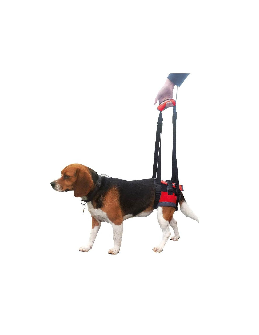 HANDY CANIS BICHE XS (yorkshire, chihuahua)