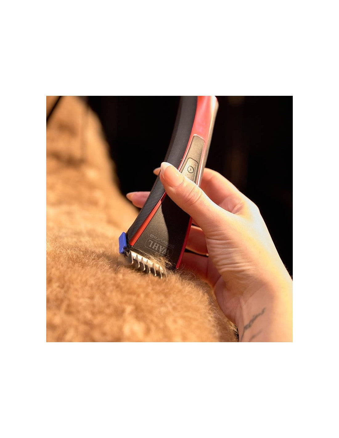 Wahl Bravura 2 *Nouveau* – photo 2
