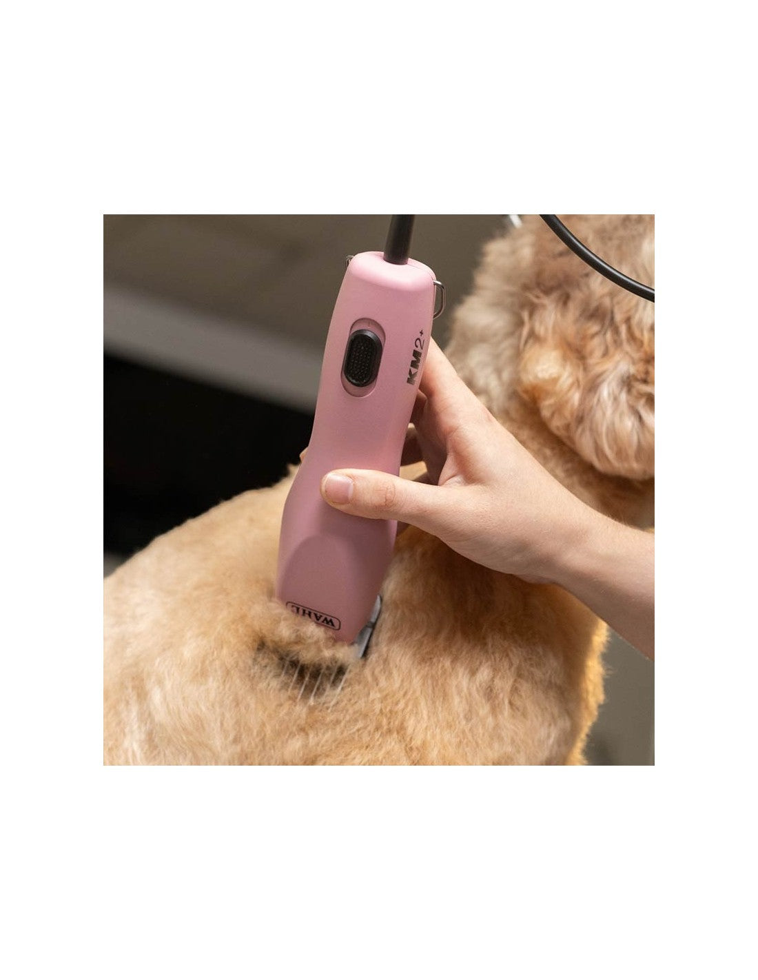 Wahl KM2+ (filaire) – photo 5