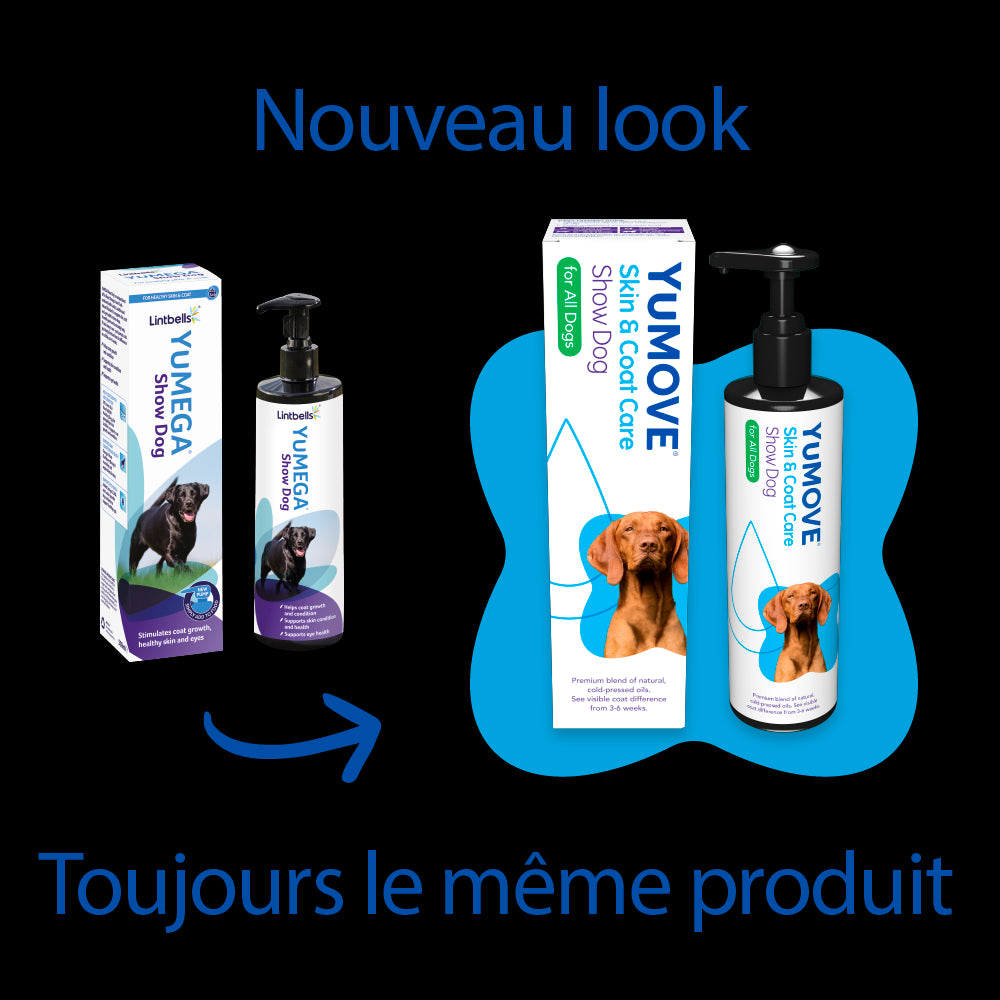 Show Dog, Pelage d'expositions (ex Yumega)