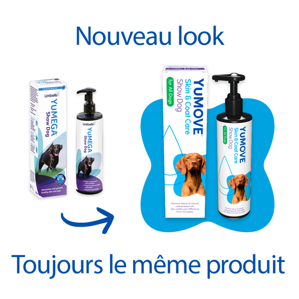 Show Dog, Show Coat (formerly Yumega)