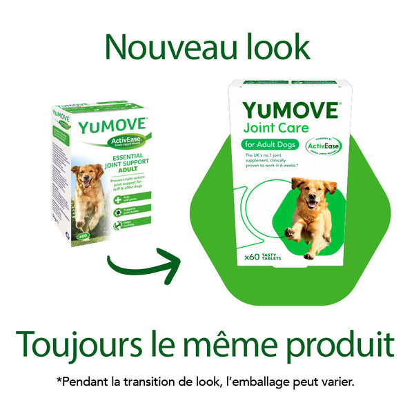 #Choosing well YUMOVE Dogs, Joints ▷ Premium Catalog For