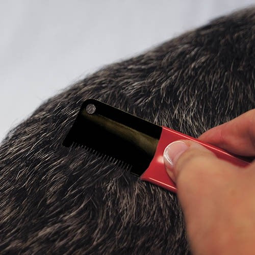 Couteau à épiler japonais - Petdesign.fr Setter Bakio S.L. Toilettage pour chien en France, produit de haute qualité
