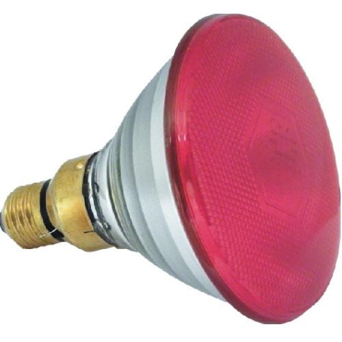 Lampe Infrarouge pour portée 175w. Economie d'Energie - Petdesign.fr Setter Bakio S.L. Vie Quotidienne pour chien en France, produit de haute qualité