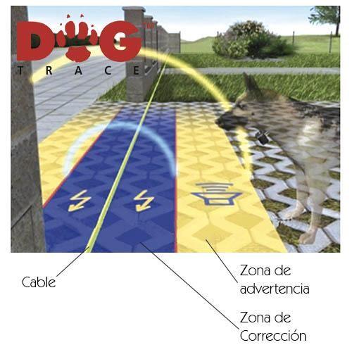 Dogtrace 6th Sense Digital Invisible Chien Fence - Petdesign.fr Setter Bakio S.L. EDUC pour chien en France, produit de haute qualité