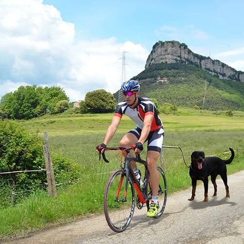 Ibá Dogcycle - Petdesign.fr Setter Bakio S.L. Vie Quotidienne pour chien en France, produit de haute qualité