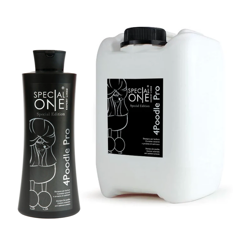 Ga lekker liggen Canada Realistisch Wat is de beste Poedel & Bichon-shampoo? 4Poedel door Special One –  Petdesign.fr