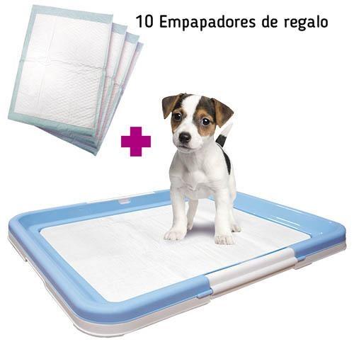 PADS Tapis d'Education à la Propreté - Petdesign.fr Setter Bakio S.L. T. M Vie Quotidienne pour chien en France, produit de haute qualité