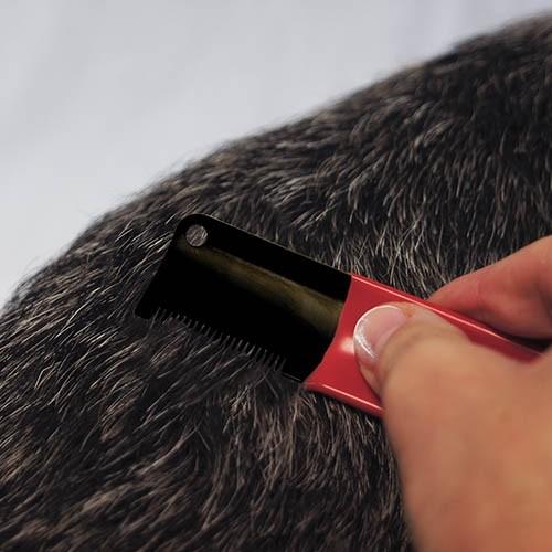 Couteau à épiler japonais - Petdesign.fr Setter Bakio S.L. 20 dents - Rouge Toilettage pour chien en France, produit de haute qualité
