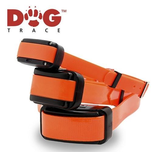 Dogtrace Professional 2000 Entrainement Collier - Petdesign.fr Setter Bakio S.L. EDUC pour chien en France, produit de haute qualité