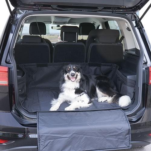 Protecteur de démarrage - Petdesign.fr Setter Bakio S.L. Vie Quotidienne pour chien en France, produit de haute qualité