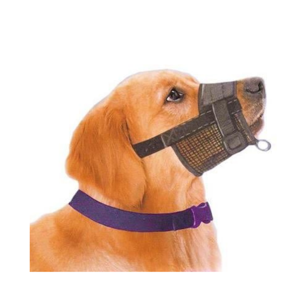 Muselière Easy Walk - Petdesign.fr Setter Bakio S.L. Toilettage pour chien en France, produit de haute qualité