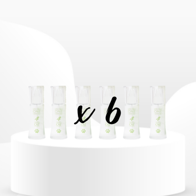 Revente : Huiles 4 Elements (50ml) x6 - Petdesign.fr revente pour chien en France, produit de haute qualité