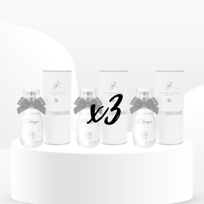 Revente : Parfums Kikinsci x3 - Petdesign.fr revente pour chien en France, produit de haute qualité