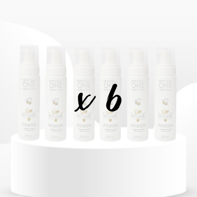 Revente : Bee Mousse (250 ml) x6 - Petdesign.fr revente pour chien en France, produit de haute qualité