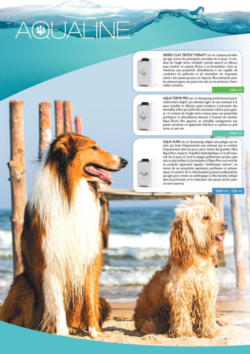 Catalogue Petdesign (papier ou téléchargeable gratuitement)