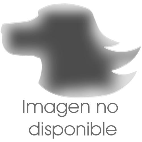 Andis AGC 2 Circuit électrique - Petdesign.fr Setter Bakio S.L. Toilettage pour chien en France, produit de haute qualité