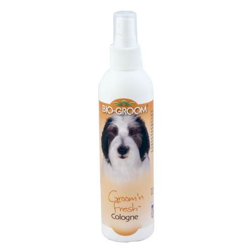 Bio-Groom Groom N' Fresh Cologne 236ml - Petdesign.fr Setter Bakio S.L. Autres Gammes Cosmétiques pour chien en France, produit de haute qualité