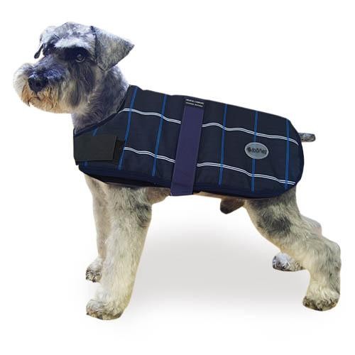 Manteau Chien Bleu Trendy Breathe Comfort - Petdesign.fr Setter Bakio S.L. Vie Quotidienne pour chien en France, produit de haute qualité