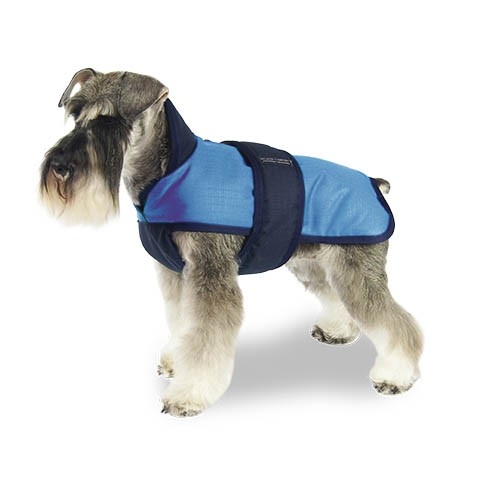 Manteau Chien Bleu Zip Breathe Comfort - Petdesign.fr Setter Bakio S.L. Vie Quotidienne pour chien en France, produit de haute qualité
