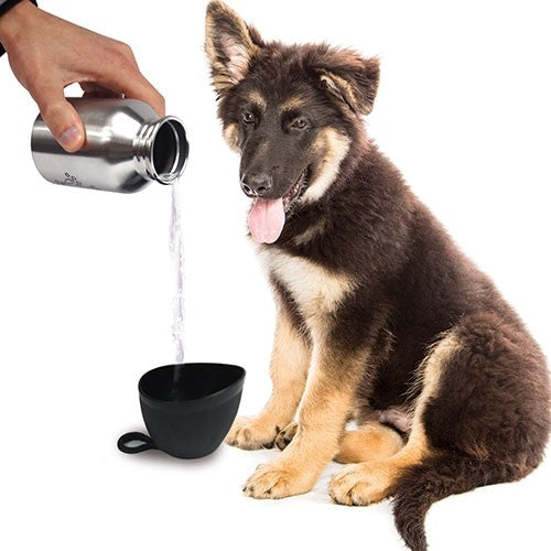 Bouteille Transportable En Acier Avec Gobelet - Petdesign.fr Setter Bakio S.L. Vie Quotidienne pour chien en France, produit de haute qualité