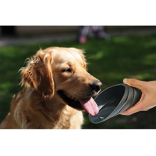 Bouteille Transportable En Acier Avec Gobelet - Petdesign.fr Setter Bakio S.L. Vie Quotidienne pour chien en France, produit de haute qualité