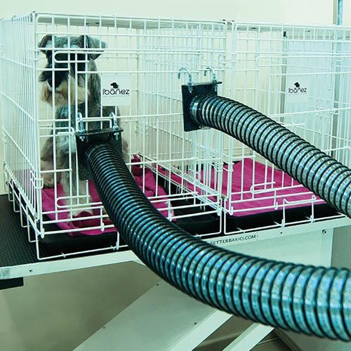 Double tuyau pour V-1000 X - Petdesign.fr Setter Bakio S.L. Toilettage pour chien en France, produit de haute qualité