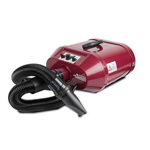 Forcetek Pulseur Séchoir Bi-Moteur (débit 146L/s) - Petdesign.fr Setter Bakio S.L. Toilettage pour chien en France, produit de haute qualité