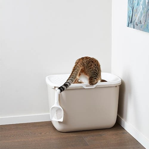 Hop In Top Entrance Chatiere - Petdesign.fr Setter Bakio S.L. 100% CHATS pour chien en France, produit de haute qualité