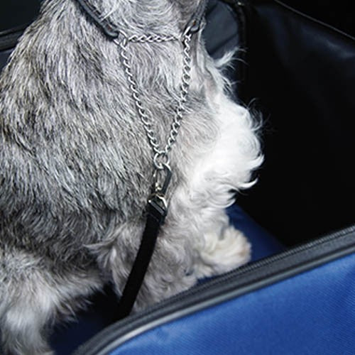 Ibá Chien Car Seat 38x37x28 Cm - Petdesign.fr Setter Bakio S.L. Vie Quotidienne pour chien en France, produit de haute qualité