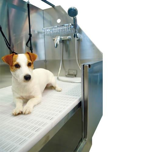 Baignoire Inox Niagara - Petdesign.fr Setter Bakio S.L. Toilettage pour chien en France, produit de haute qualité