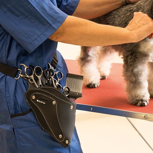 Etui de Rangement à la Ceinture pour Toiletteur - Petdesign.fr Setter Bakio S.L. Toilettage pour chien en France, produit de haute qualité