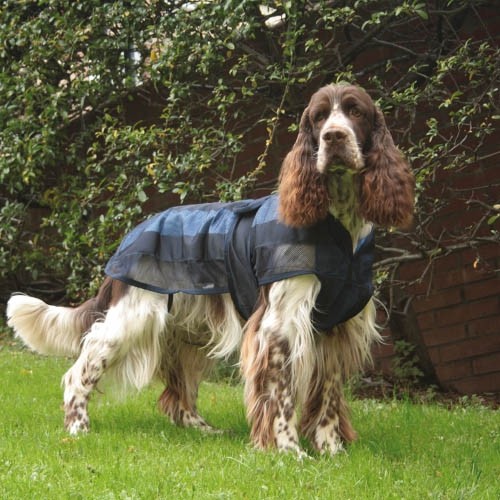 Manteau Rafraîchissant Chien Instant Fresh - Petdesign.fr Setter Bakio S.L. Vie Quotidienne pour chien en France, produit de haute qualité