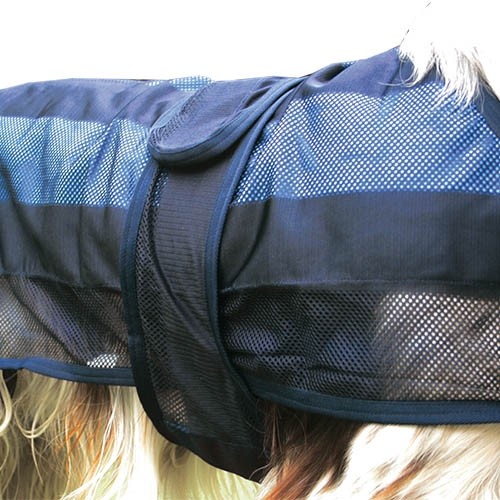 Manteau Rafraîchissant Chien Instant Fresh - Petdesign.fr Setter Bakio S.L. Vie Quotidienne pour chien en France, produit de haute qualité