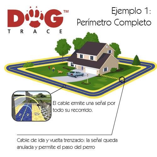 Invisible Fence Dogtrace D-FENCE 1600 mètres - Petdesign.fr Setter Bakio S.L. EDUC pour chien en France, produit de haute qualité