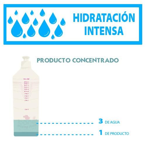Kw 2 In 1 Shampoing & Conditionner 200 Ml. - Petdesign.fr Setter Bakio S.L. Autres Gammes Cosmétiques pour chien en France, produit de haute qualité
