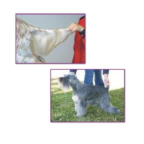 Kw Grooming Powder(Toilettage et Nettoyage à sec) 350g - Petdesign.fr Setter Bakio S.L. Autres Gammes Cosmétiques pour chien en France, produit de haute qualité