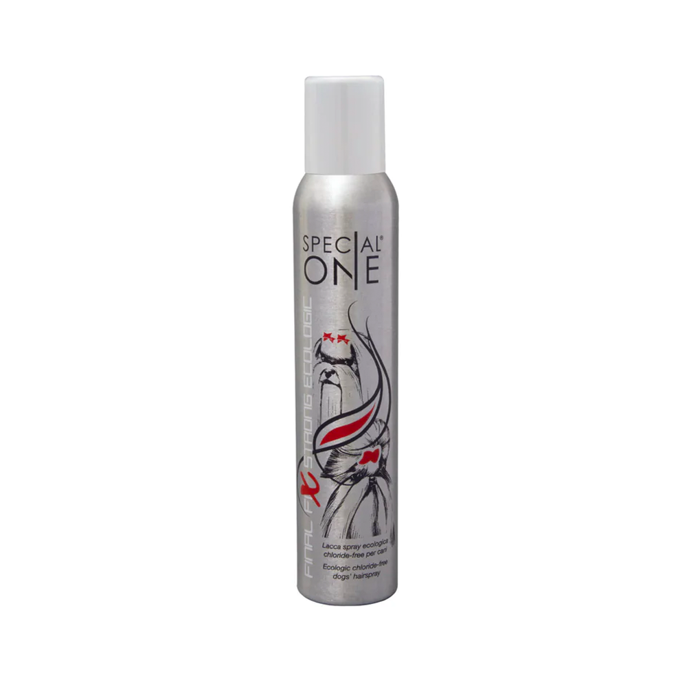 Laque FINAL FIX STRONG Ecologique
