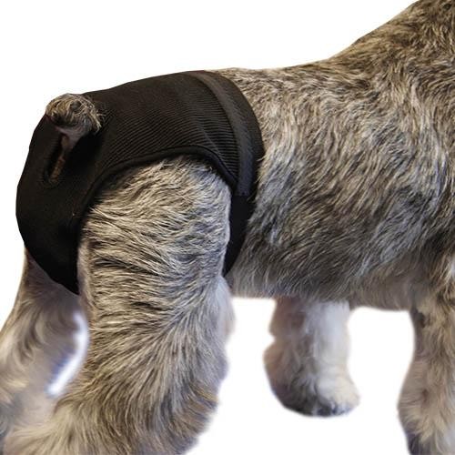 Noir Chien Heat Pants - Size 0 - Petdesign.fr Setter Bakio S.L. Vie Quotidienne pour chien en France, produit de haute qualité