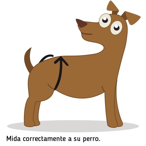 Noir Chien Heat Pants - Size 0 - Petdesign.fr Setter Bakio S.L. Vie Quotidienne pour chien en France, produit de haute qualité