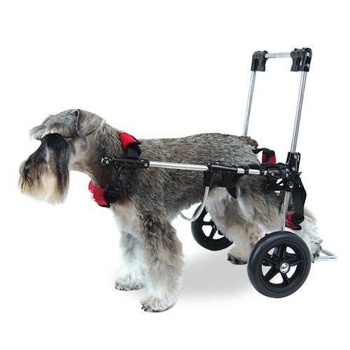Fauteuil roulant - Mobile - Petdesign.fr Setter Bakio S.L. Vie Quotidienne pour chien en France, produit de haute qualité